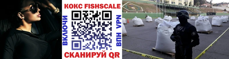 купить наркоту  Ершов  Cocaine FishScale 