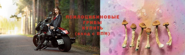 ПСИЛОЦИБИНОВЫЕ ГРИБЫ Яровое