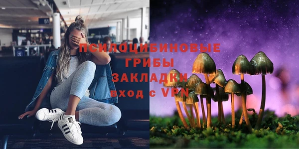 эйфоретик Янаул