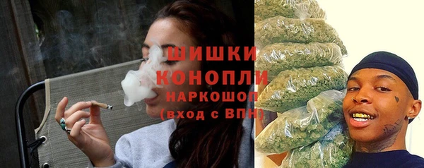 ПСИЛОЦИБИНОВЫЕ ГРИБЫ Яровое