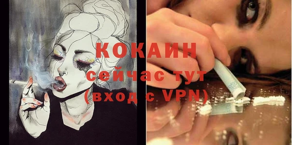ПСИЛОЦИБИНОВЫЕ ГРИБЫ Яровое
