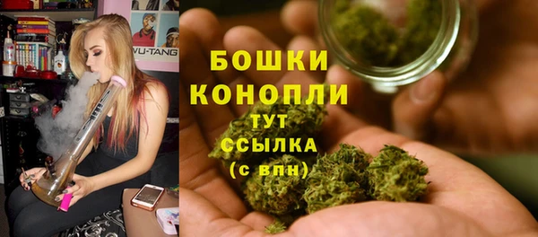 эйфоретик Янаул