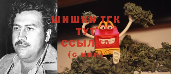 эйфоретик Янаул