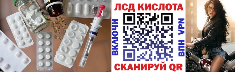 где купить Ершов MEGA tor Лсд 25 экстази ecstasy